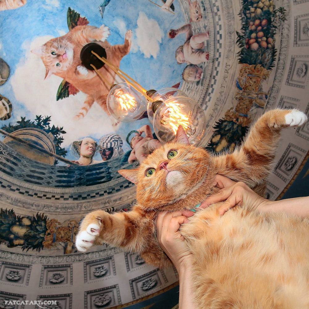 Zarathustra the Cat flying under Andre Mantegna's Oculus ceiling