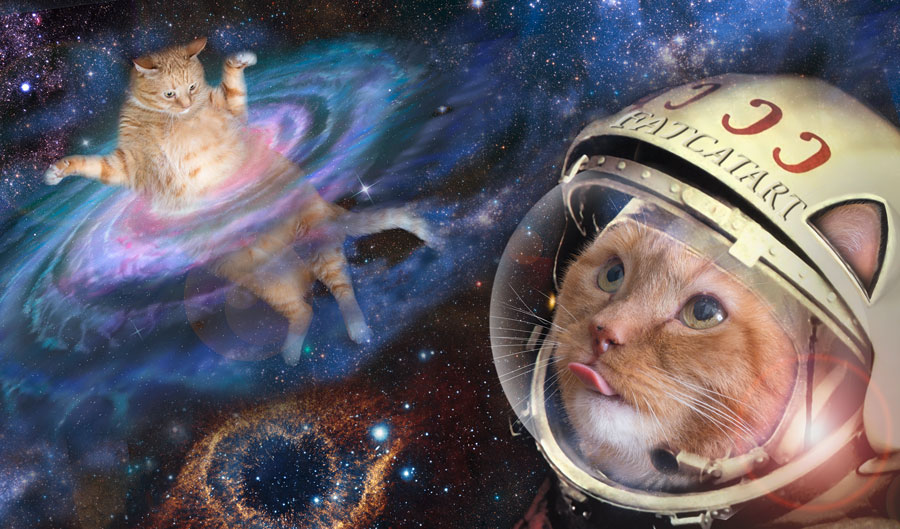 space URSS cat