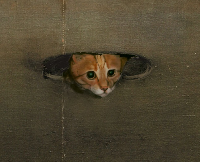 Ceiling cat in "Las Meowninas"