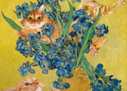 Cat-cher in the Irises