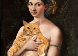 Raphael, La Fornarina and the Cat