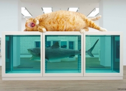Damien Hirst, The Physical Impossibility of Falling Down in the Mind of Someone Sleeping