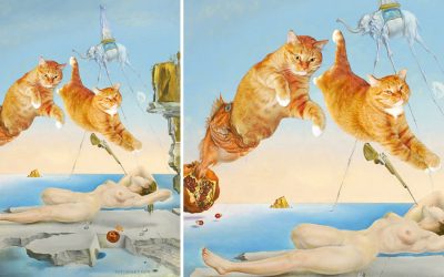 Salvador Dali, Dream caused by the Flight of a Bee around a Pomegranate a Second before Waking up, safer version, no tigers involved 😹Salvador Dali, Dream caused by the Flight of a Bee around a Pomegranate a Second before Waking up, safer version