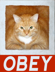 Obey the Cat