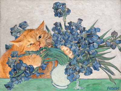 Vincent van Gogh, Irises and the Cat