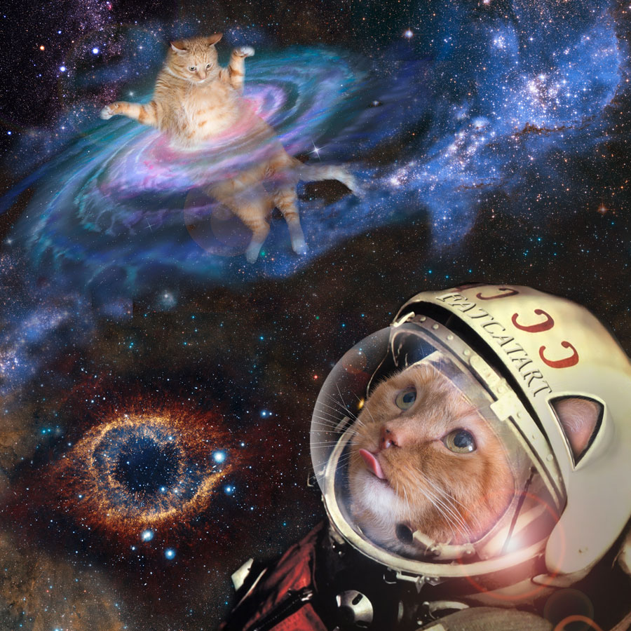 Space Cats From Space