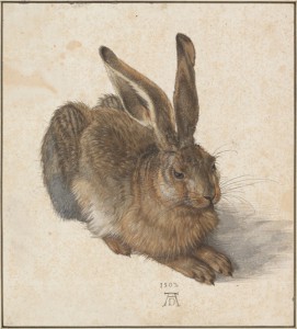 Albrecht Dürer, Hare, from Albertina Gallery collection