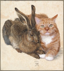 Albrecht Dürer, Hare and Cat