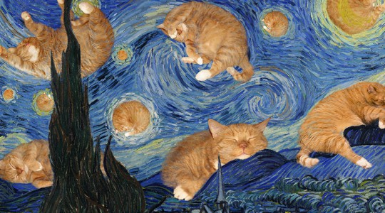 Van Gogh Starry Night cat min