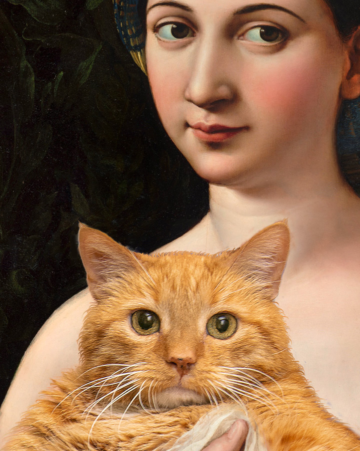 Raphael, La Fornarina and the Cat, close up