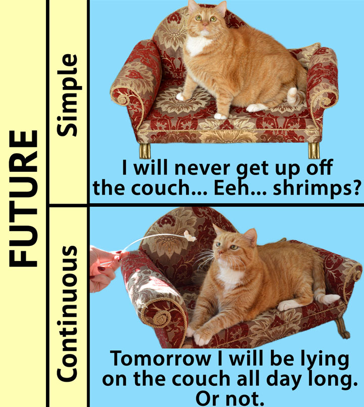 English Grammar by Zarathustra the Cat