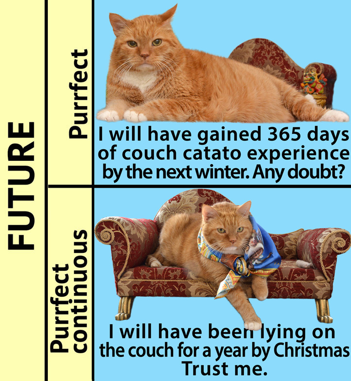 English Grammar by Zarathustra the Cat, Future, Perfect and Perfect Continuous