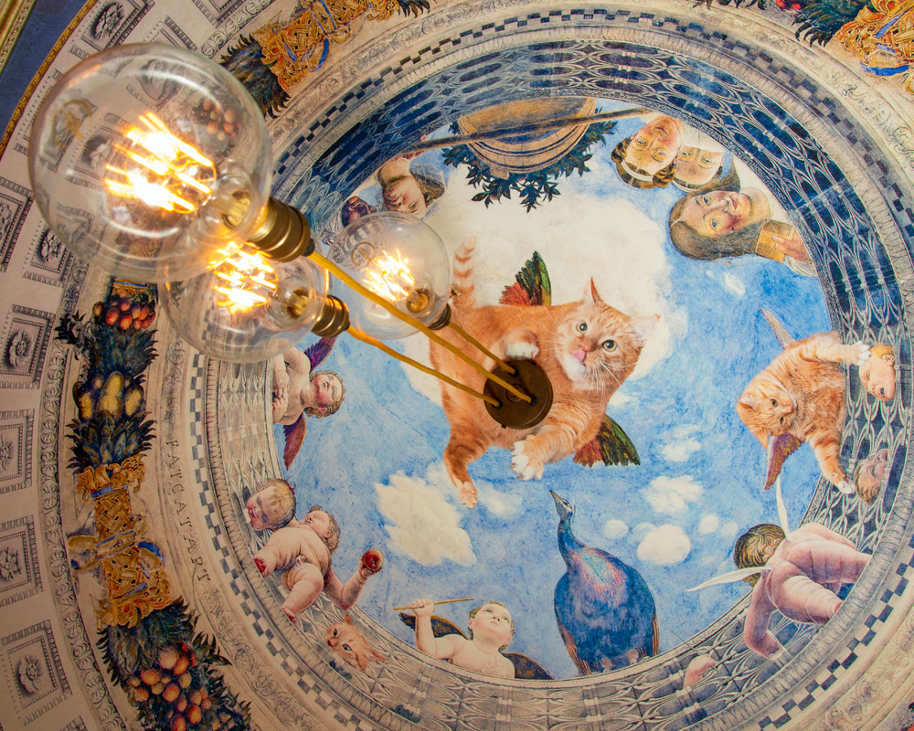 Ceiling fresco "Andrea Mantegna, Oculus" in the kitchen in our flat