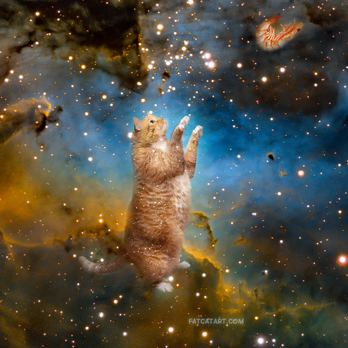 The Celestial Cat in the Pillars of Creation, the bigger picture