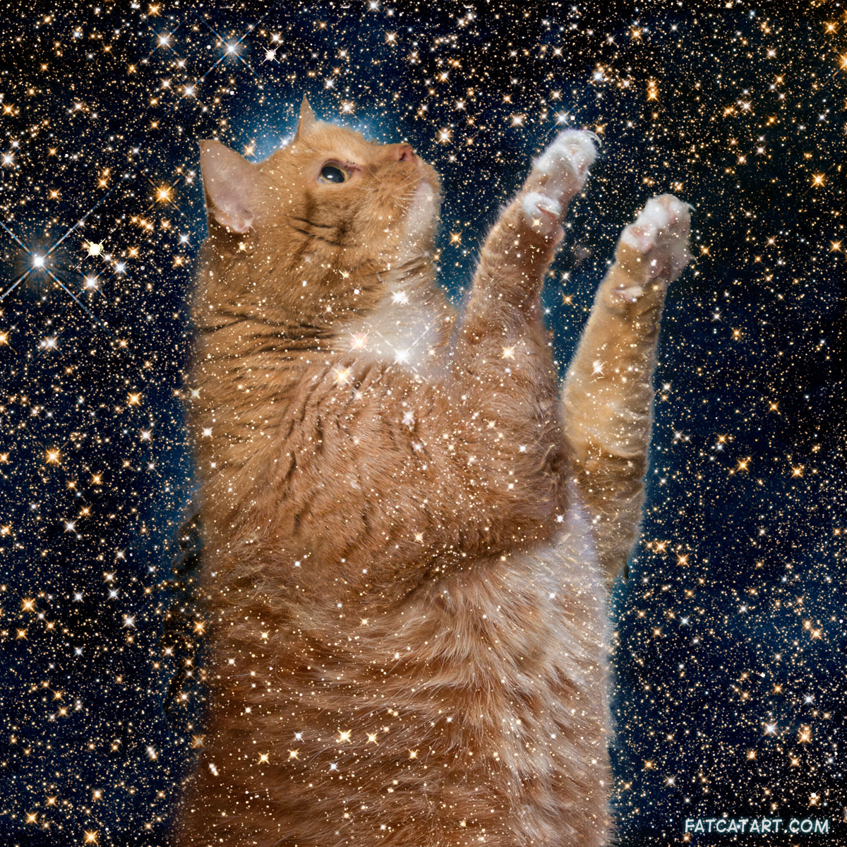 The Celestial Cat in the Pillars of Creation, in infrared