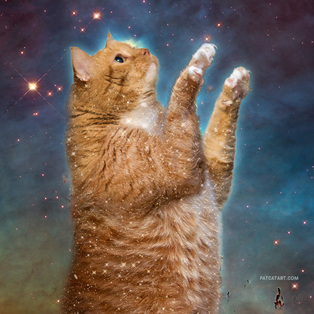 The Pillars of Creation: the Celestial Cat is discovered in the depth of the galaxy