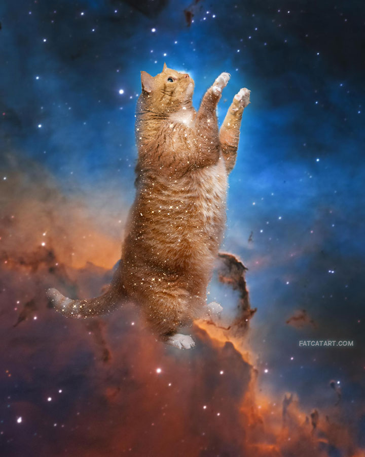 The Celestial Cat in the Pillars of Creation, general view