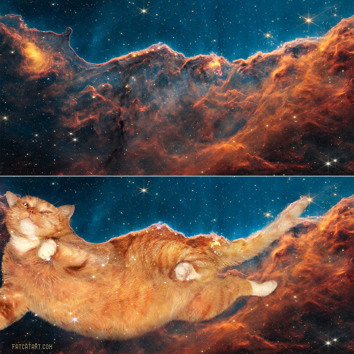 Zarathustra the Cat as the main cause of new stars formation