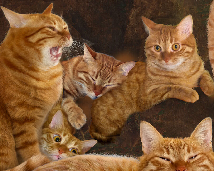 Peter Paul Rubens, Daniel in the Lions turned into Ginger Kittens' Den, detail