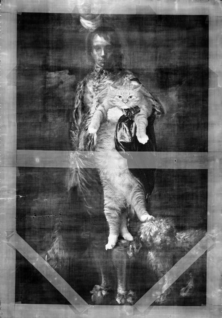 Thomas Gainsborough, The Blue Boy and the Ginger Cat, X-rayed